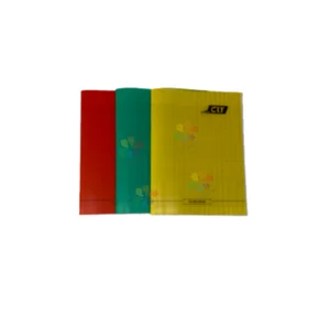 Good Suppliers Manufacturer Hot Sale PP 3 Colors French Line Customized A5 Size Notebook