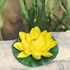 Yellow Eva lotus flower [Leaves approximately 18cm]