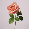 Rose pâle