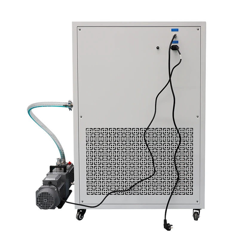 Hot Sales Vacuum Freeeze Dryer Strawberry Cucumber Kiwi Durian 50kg Freeze Dryer