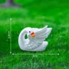 6#Cigno