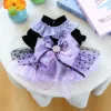Robe elfe violette