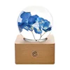 Blue Hydrangea