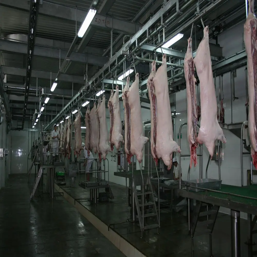 Modern design of meat slaughterhouse slaughterhouse slaughterhouse equipment
