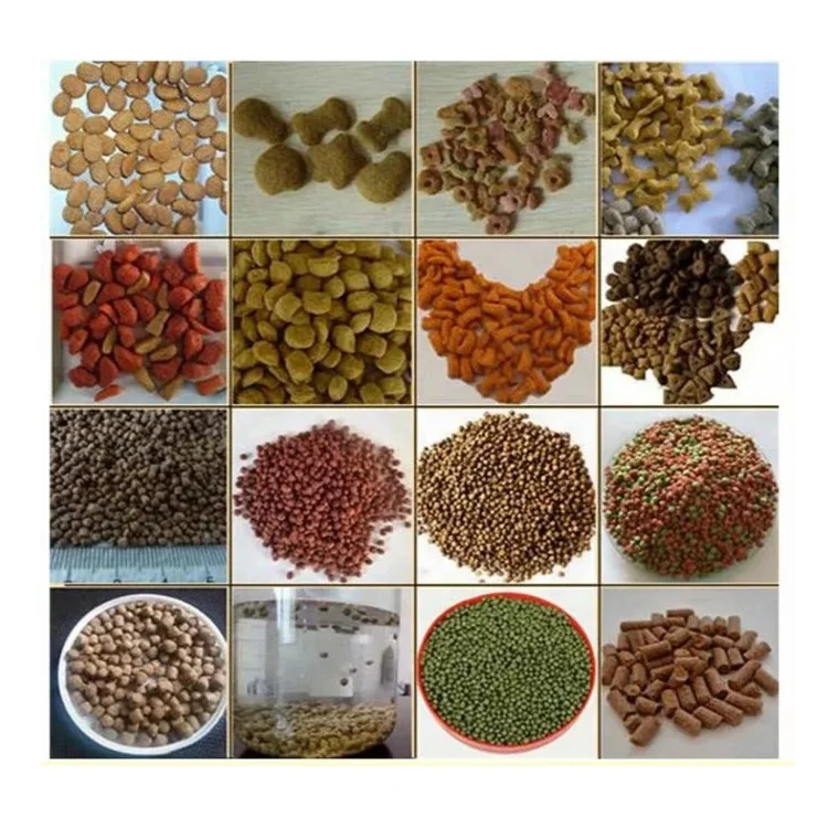 Fish Feed Pellet Machine to Make Floating Fish Extruded Food