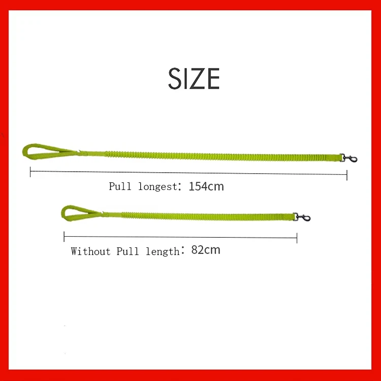 New product Whole sale  Bungee  Muti-color  Retractable Dog Leash