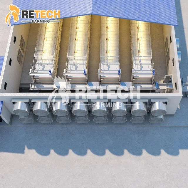 Hot Sale Automatic Broiler Chicken Cage Poultry Equipment for Broiler Farm