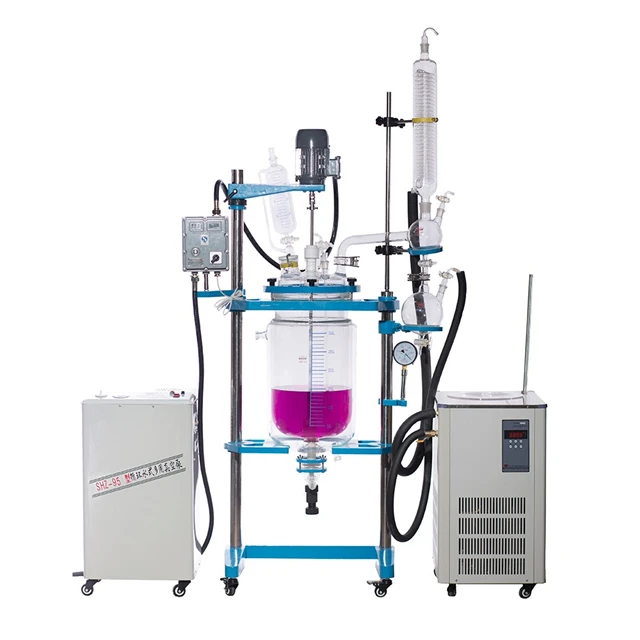 Customized Bioreactor with Vacuum Pump and Chiller 10L
