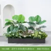 hc-Y80-34 es adecuado para jardineras de 80 cm.