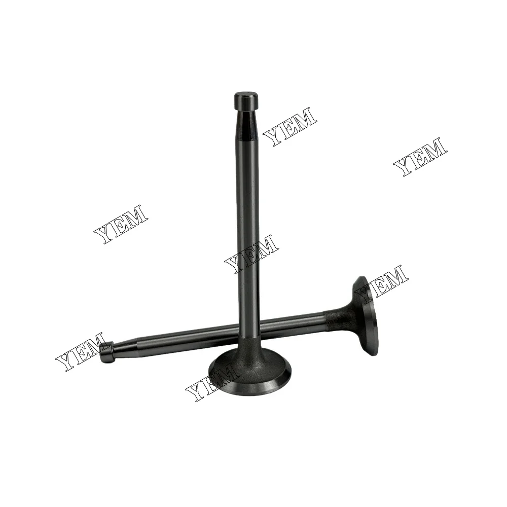 295AD Valve for SDEC Valve Universal Engine Parts 4