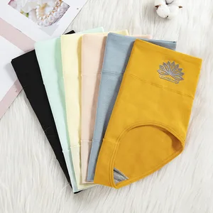 Solid Pattern High-Rise Sexy Plus Size Cotton Printed Design Breathable Underwear Leak Proof Panties for Women