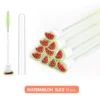 Watermelon Slice