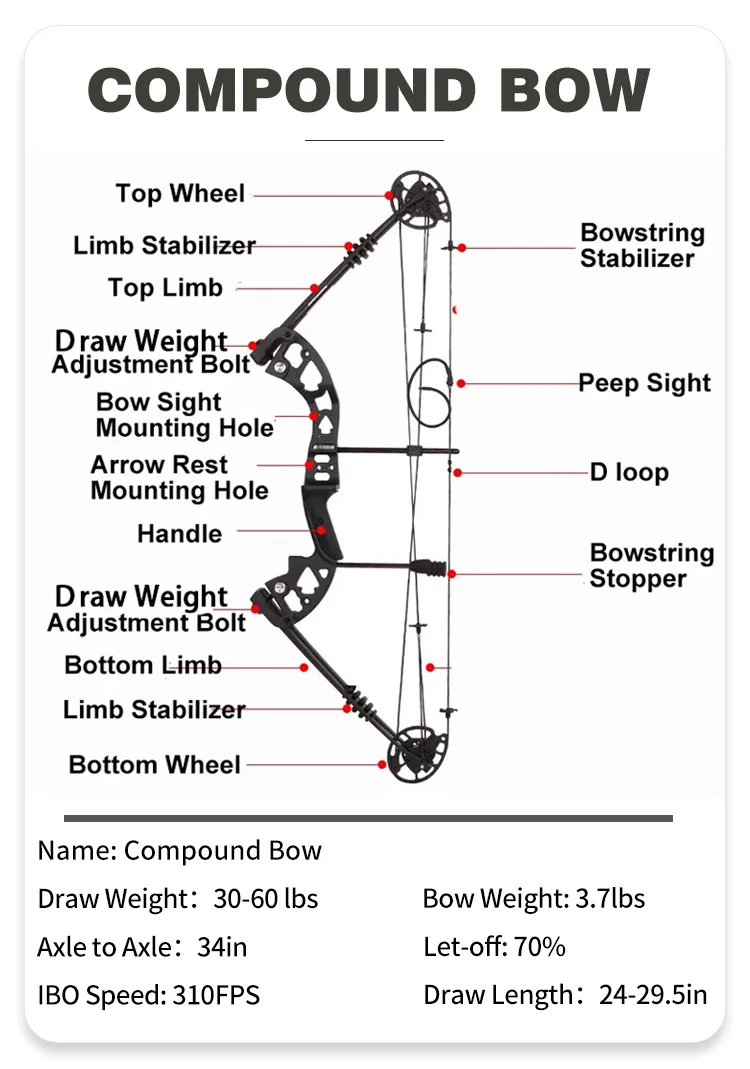 Spg Compound Bow Set 3060 Lbs Adult Outdoor Archery Equipment Sight Mixed Carbon Arrow Shooting