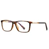 C2 Tortoiseshell