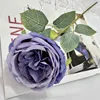 Pourpre