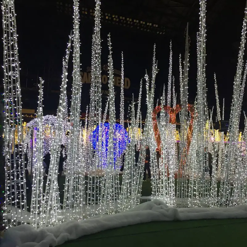 CE ROHS Certificated Custom Big Large Project New Year Decoration Street Pole Commercial 3d LED Fountain Light