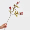 Rosso autunnale