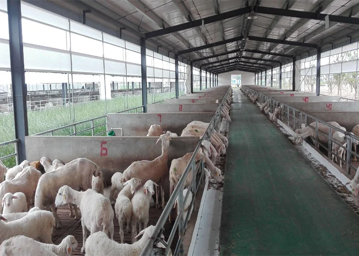 プレハブ鉄骨構造家畜小屋低コスト羊小屋牛小屋牛小屋ヤギ小屋