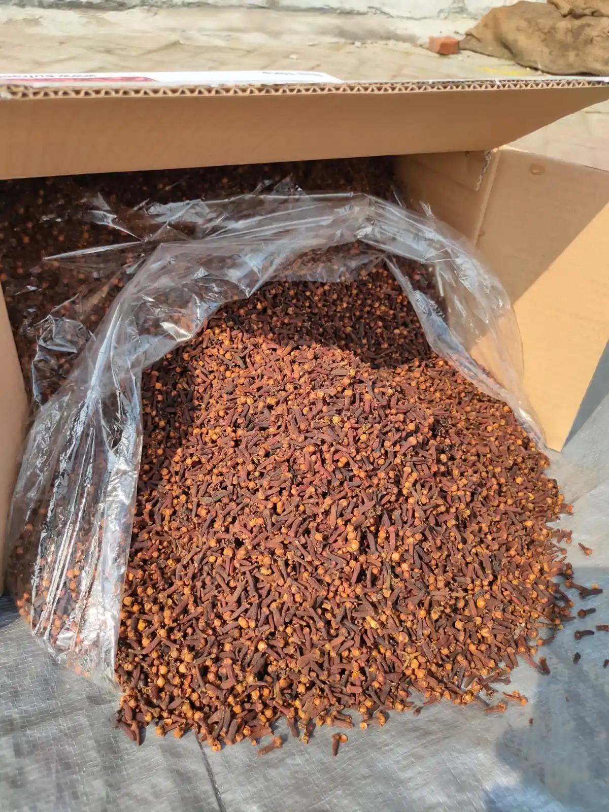 Best Price Natural Dried Whole Clove Spice Spices Supplier Wholesales Hot Spicy Herb Food Raw Export Pattern Drying Process Ad