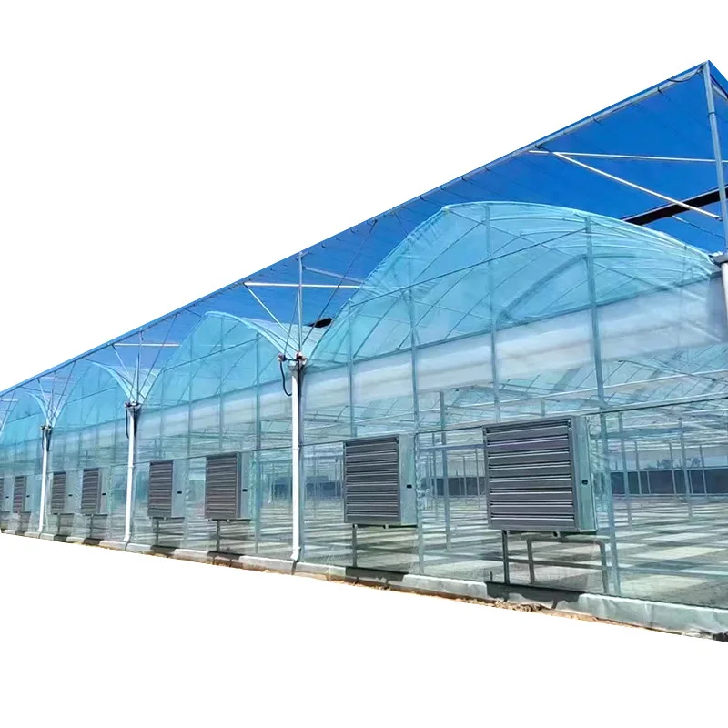 High Quality Galvanized Structure Plastic Tunnel House China Single Span Low Tunnel Greenhouse For Sale