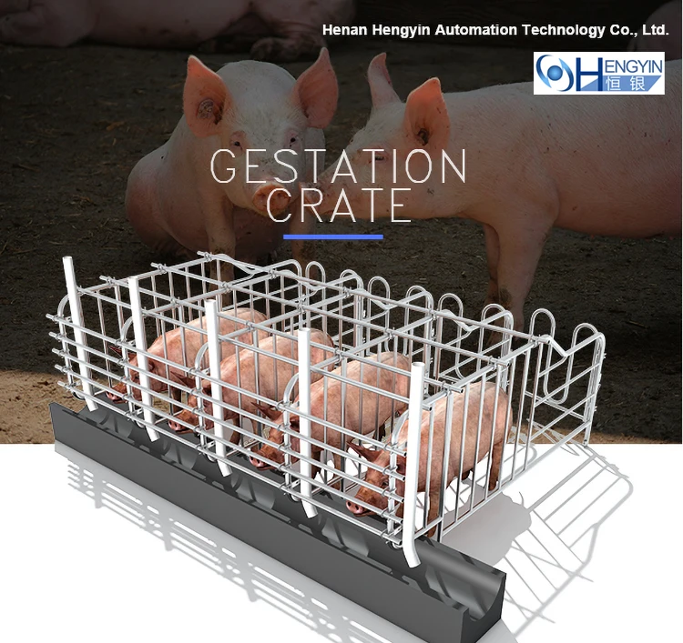 Pig Gestation Crate Pig Farm Crate Pig Crate For Sale - Buy Pig ...