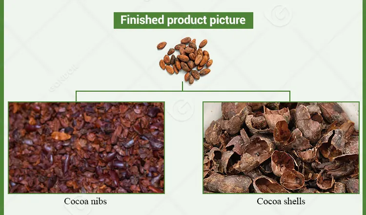 Multifunctional Peeling Machine - Efficient Cocoa Bean Processing