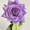 07-púrpura