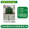 1.5m solid wood mini olive tree (deposit link)