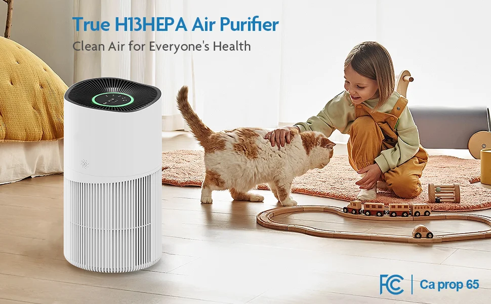Air Purifier For Home Large Room Personal For Smoking 99.97 Air Purifier Pet Hepa Smart Home