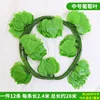 Small grape variety with 20 leaves (12 grapes)
