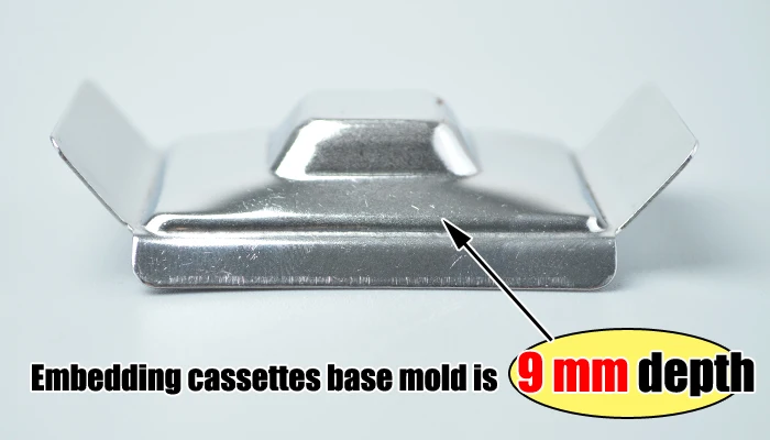 Reusable Embedding cassettes base mold display
