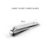 Large Silver Curved
