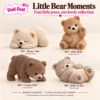 B04 Belly Up Rest Warm Stone - Single Item