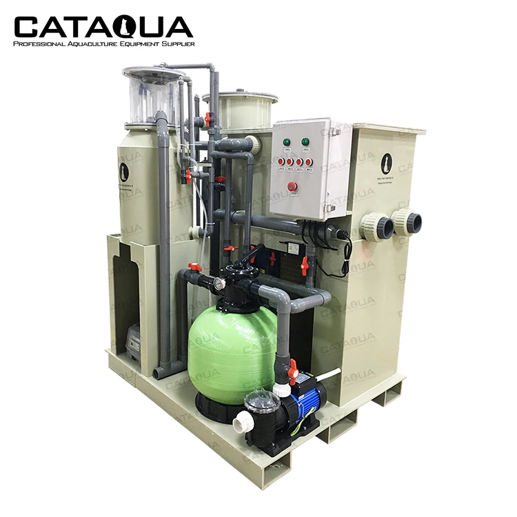 Indoor Aquaculture Fish Farming Recirculating Aquaculture Shrimp Farming Ras System for Fish Farm for Sale