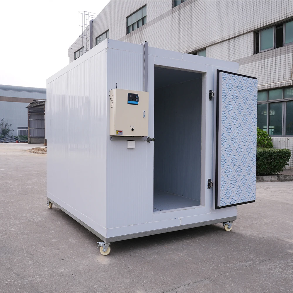 20ft Mini Easy Operate Cold Room Supplier Sale Container Commercial Refrigeration Compressor Unit Freezer Storage Room for Meat