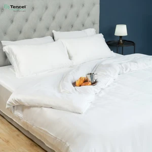 Durable Comforter Bedding Sets Natrual Tencel Bedsheets Set Duvet Cover Silk Pillowcase Set
