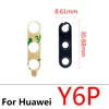 Y6P