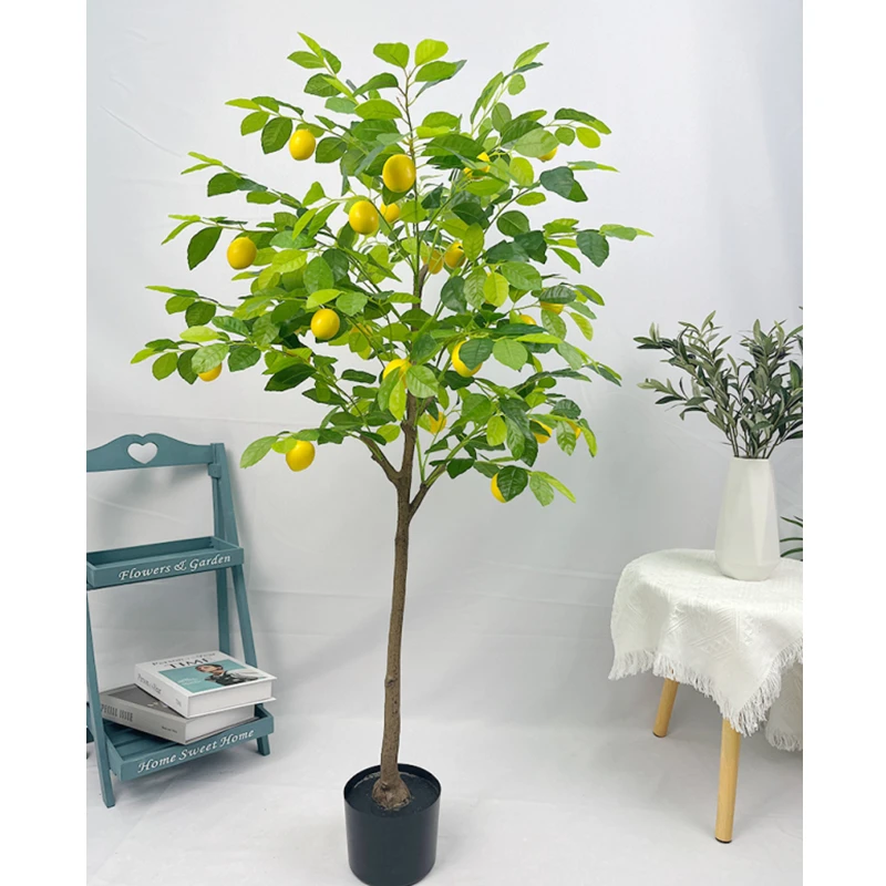 foliage plants indoor Popular Houseplant 6-pack: Easy Plant Variety Pack  Cute & Unique Plants