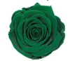 Verde scuro