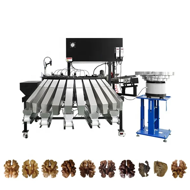 Manufacturer Cheapest Walnut Inshell Paper Wallnut Color Sorter Sorting Machine