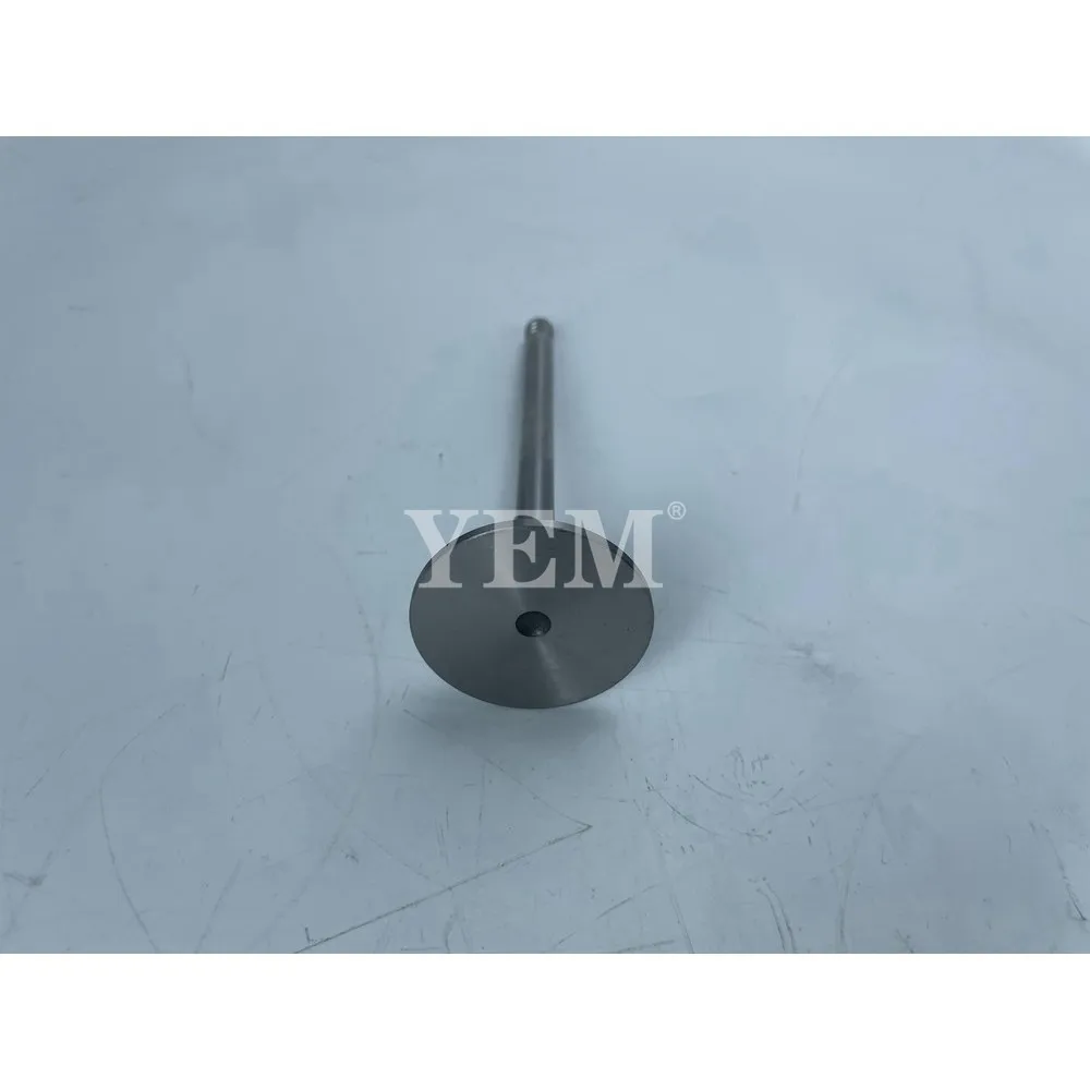 For Deutz BF4M1011F Intake and Exhaust Valve Engine Spare Part Genuine Engine Parts 2