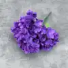 Morado oscuro