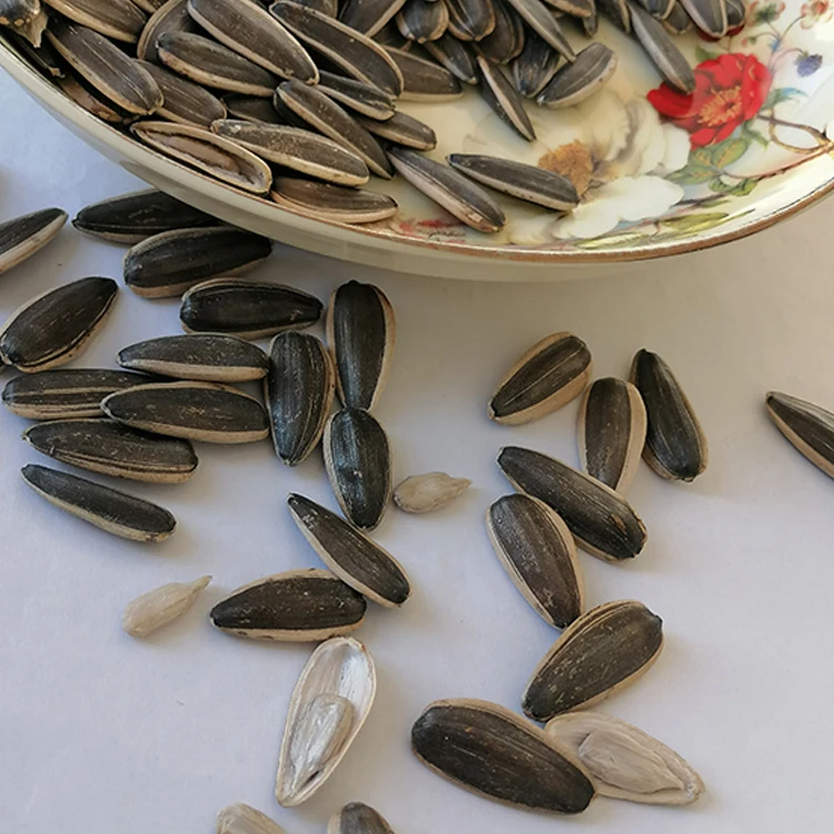 Sunflower Black Seeds Raw Natural Sunflower Seeds New Crop 2021 Wholesale Price