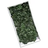 Verde oscuro