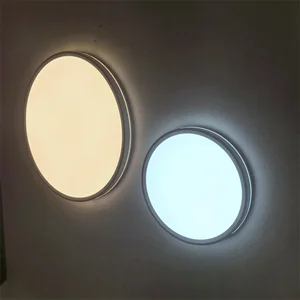 High Sales Nordic Style Indoor Bedroom Kids Room Hotel Contemporary Modern Led Ceiling Lights 22W