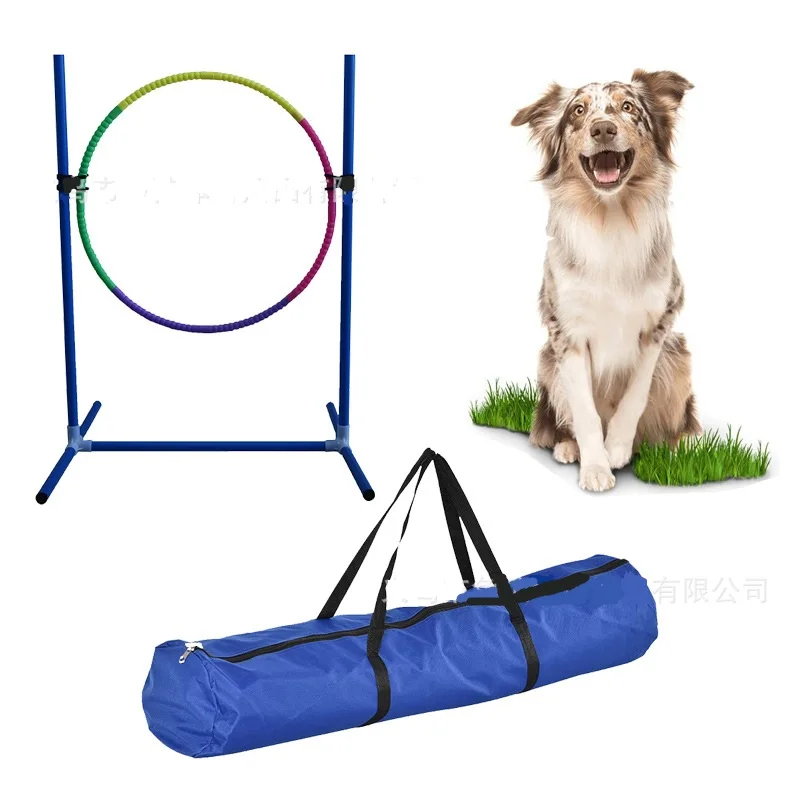 how do you train a dog to jump obstacles