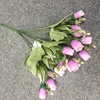 Pourpre