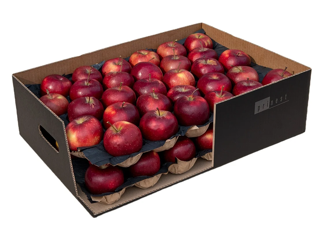 Disposable 100% Biodegradable Fresh Fruit and Vegetables Packing Insert 2 Layers Plum Alveoli Paper Tray Liner
