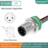 M12-A-3P male PG9