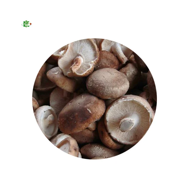 Supply Good Quality BRC Certified IQF frozen shiitake mushroom whole